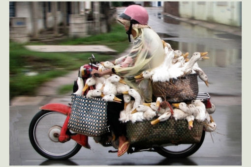 Moto Vietnam Moto Vietnam